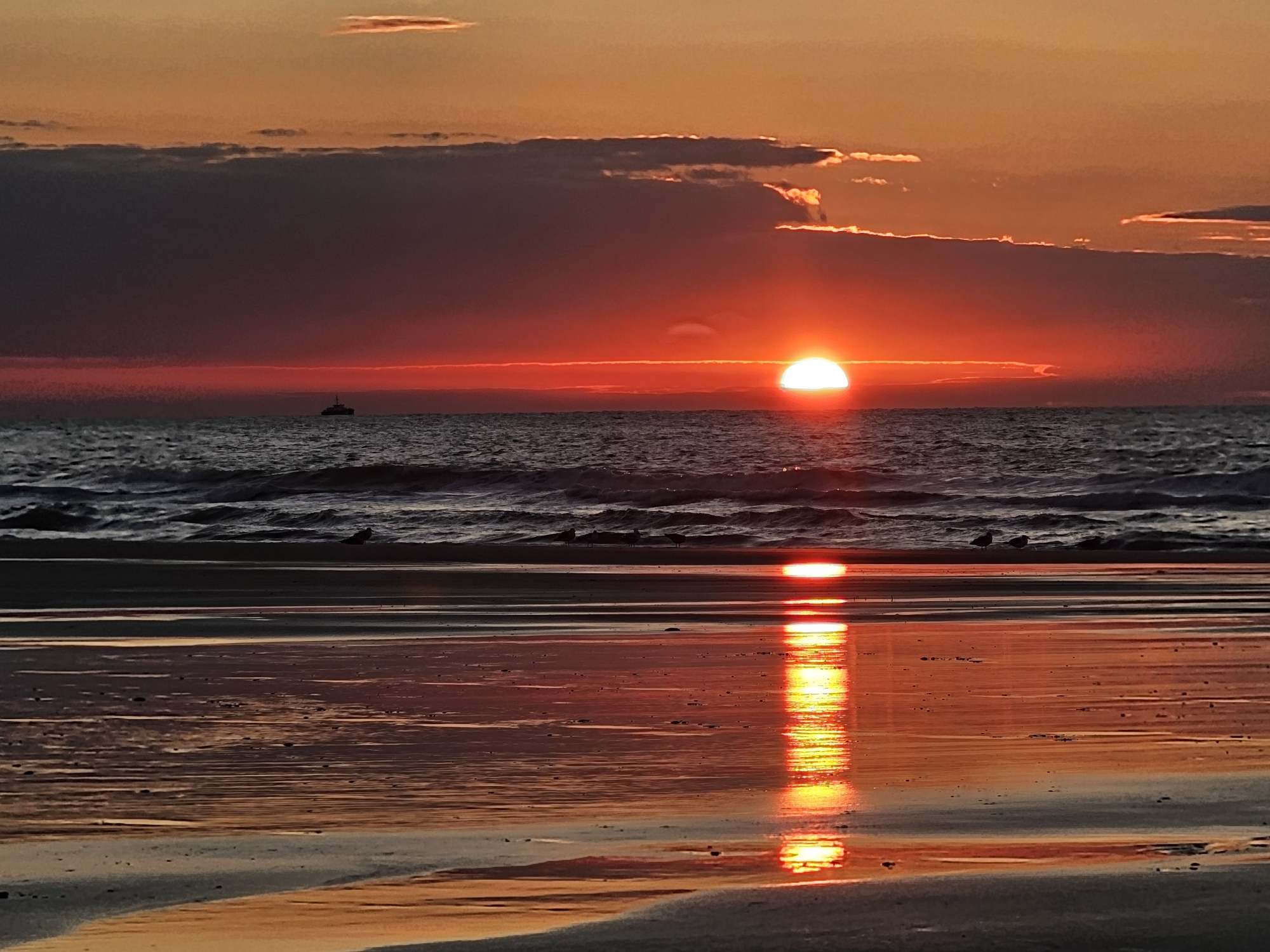 Letzter Sonnenuntergang ❤️ am Strand in Bredene